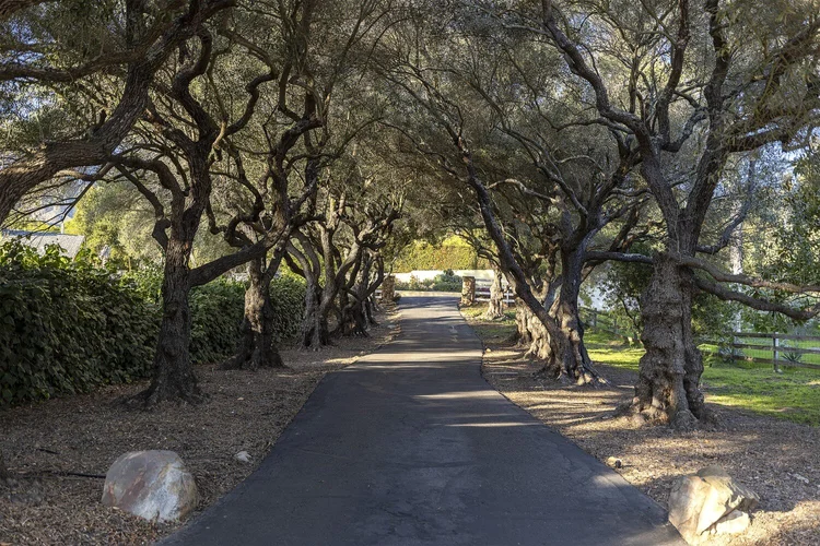 401 El Cielito Road Santa Barbara ??? Colleen Beall