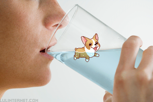 If Corgis love water, then really who are you to say it's not the bomb? 