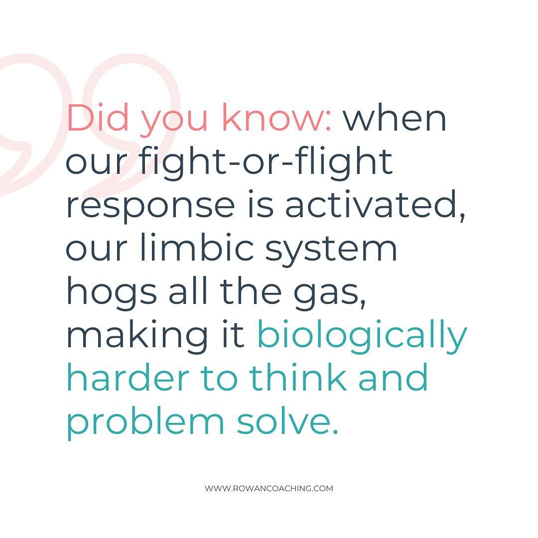 When you&rsquo;re caught up in a shame spiral, spinning on a negative belief, or stuck in the shitty feels, you are activating the fight-flight-freeze response in your limbic system (the 2nd least evolved part of our brains). So what&rsquo;s the prob