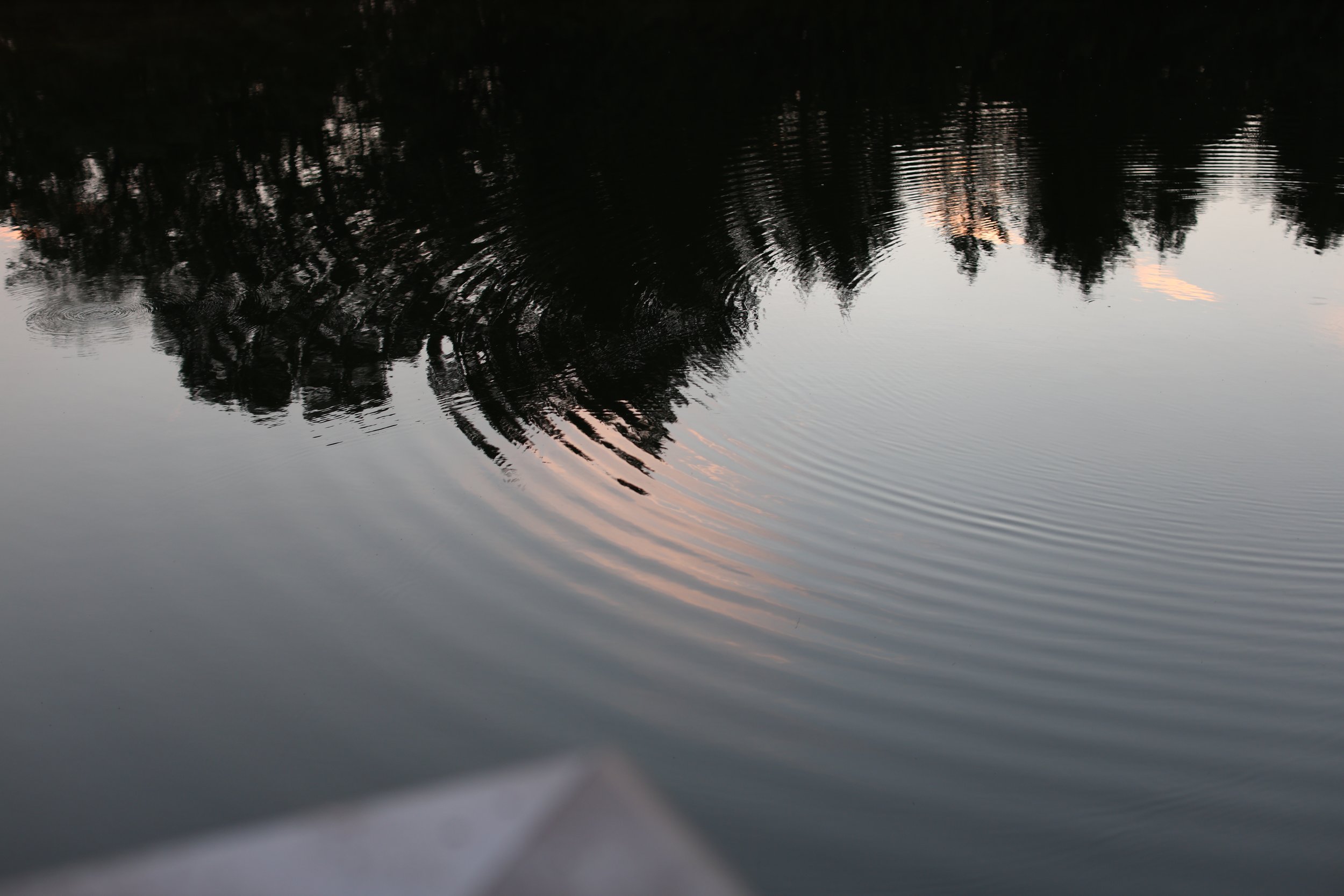 The Farm Pond.JPG