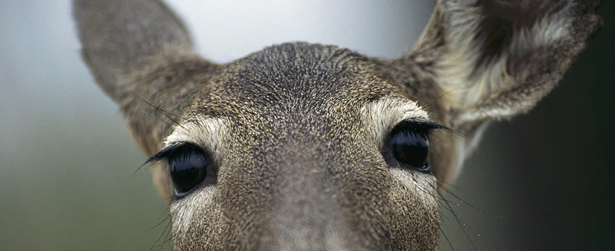 HRSWCD | Increased visibility for local conservation efforts