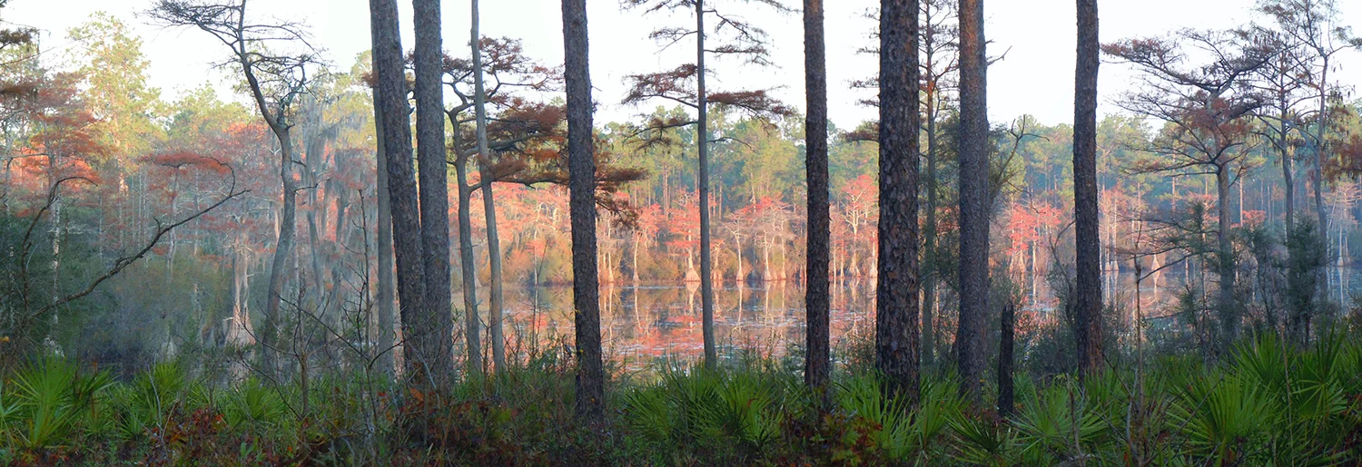 US Forest Service | More than just a trail