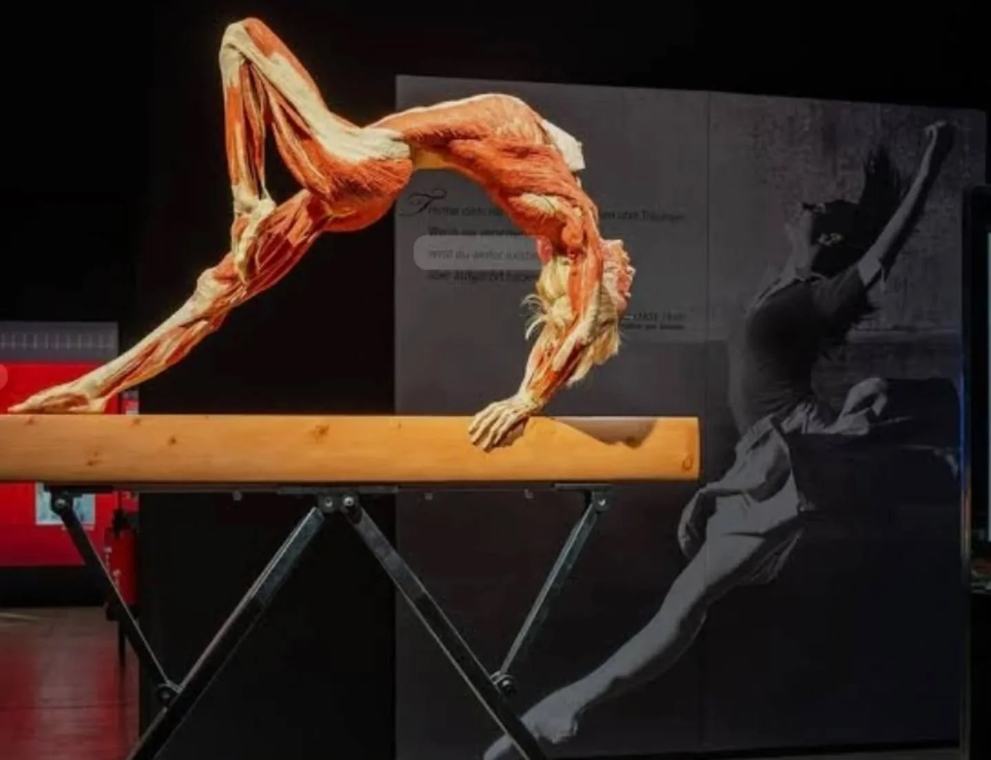 The human body is incredible. 

As a coach working with muscles every day, the Body World exhibition was fascinating.

We have freedom to choose to move our bodies to create happiness.

1️⃣ It starts with this awareness.
2️⃣ Our mind chooses contentm