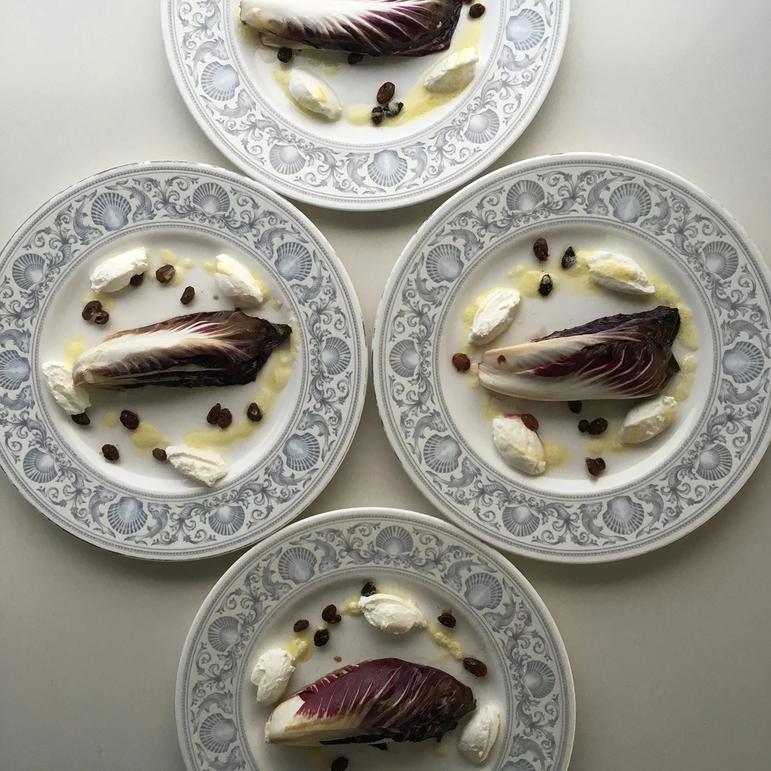 RADICCHIO THE VIBRANT