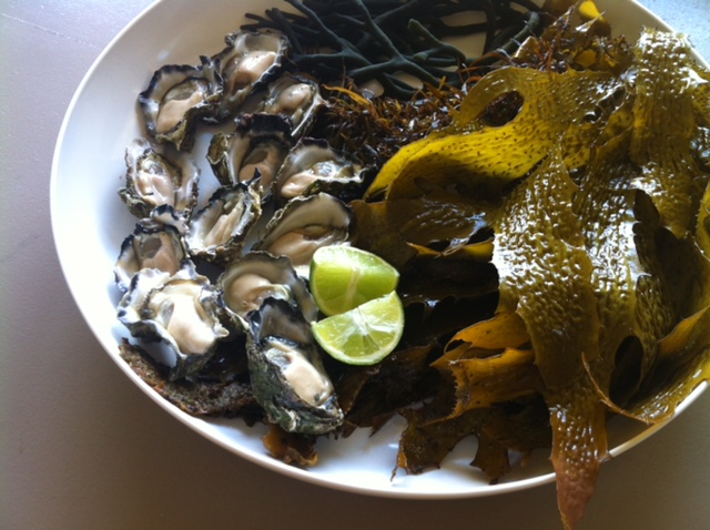 SEAWEED FROM THE BEACH AND WALLIS LAKE OYSTERS