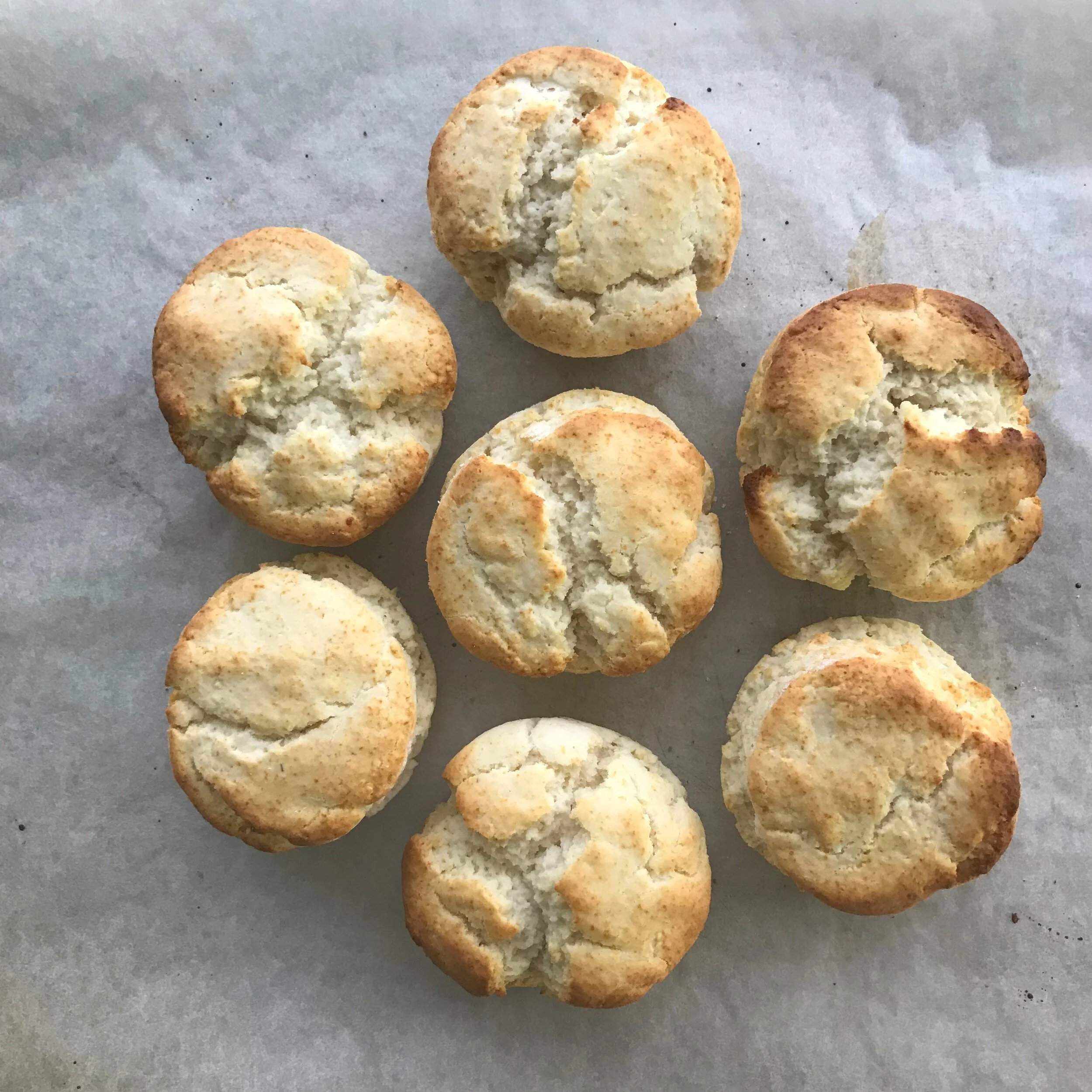 GLUTEN-FREE SCONES.jpeg