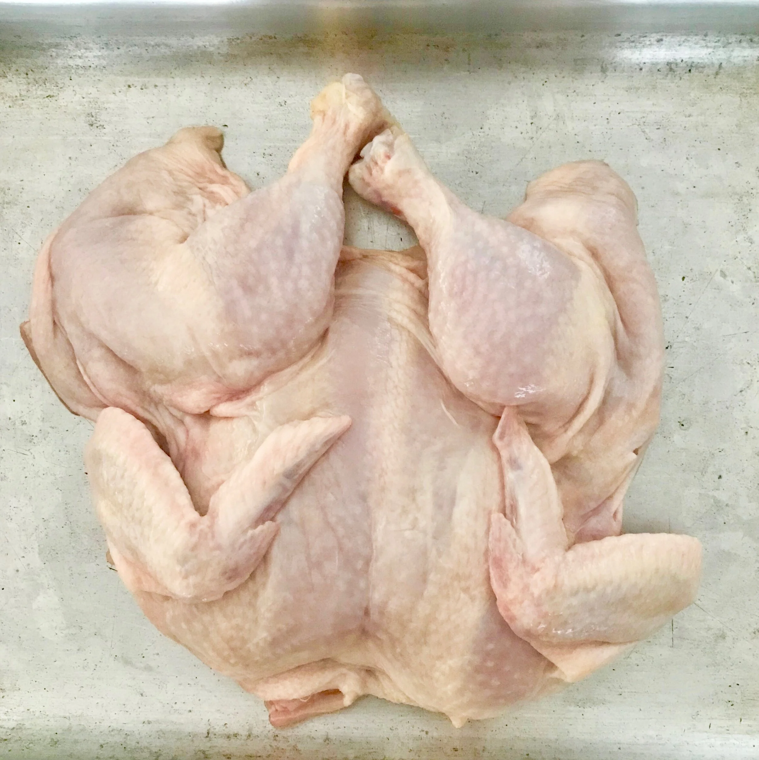 MARINATED SPATCHCOCKK WITH DATE HARISSA BUTTERFLIED PIC.jpeg