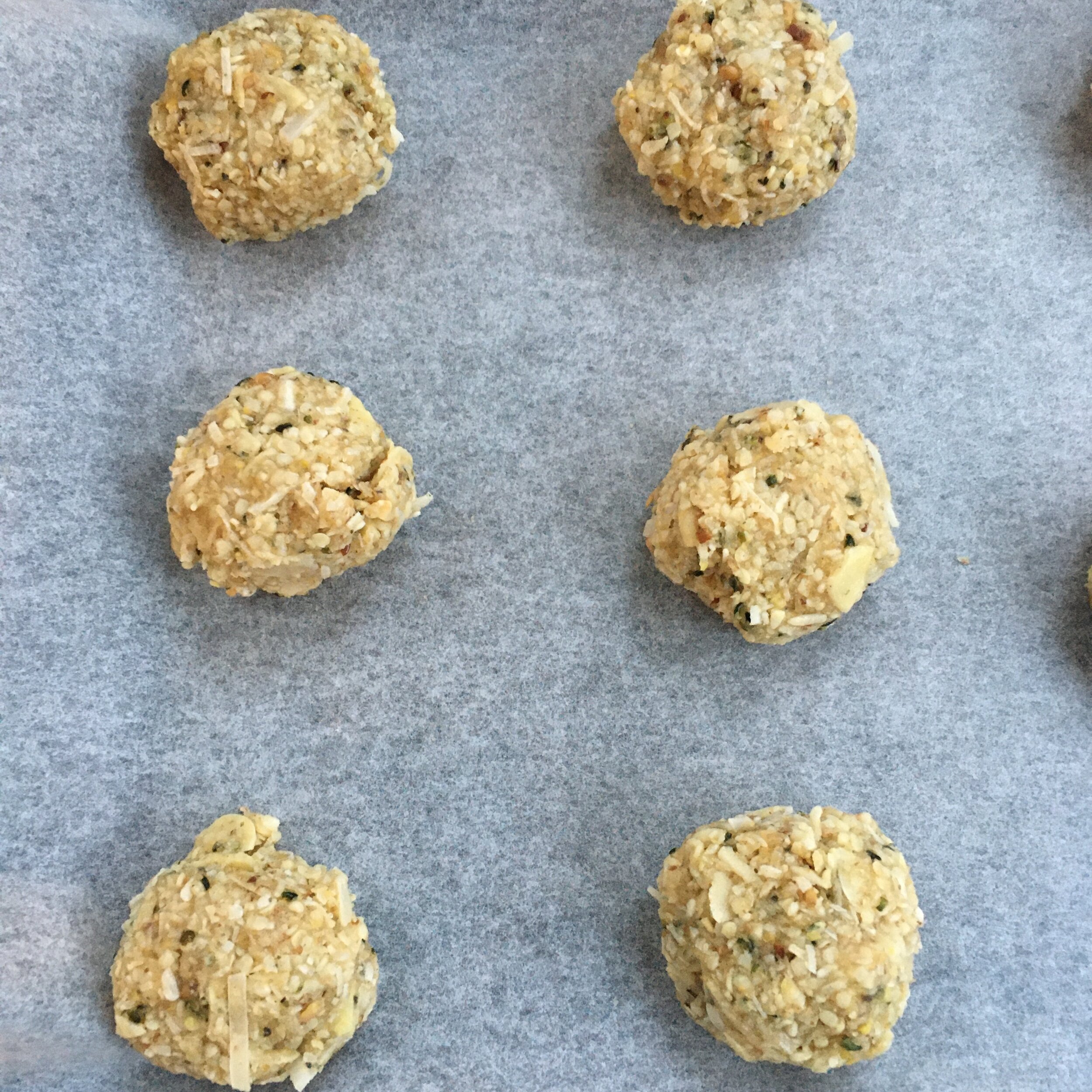 Hemp and Coconut Biscuits raw pic.JPG