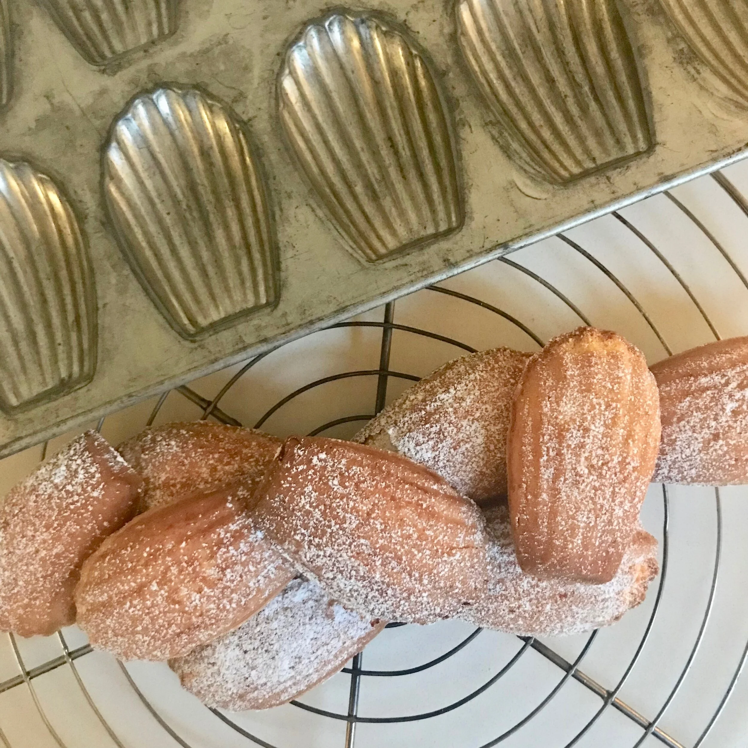 MADELEINES AND TIN PIC.jpeg