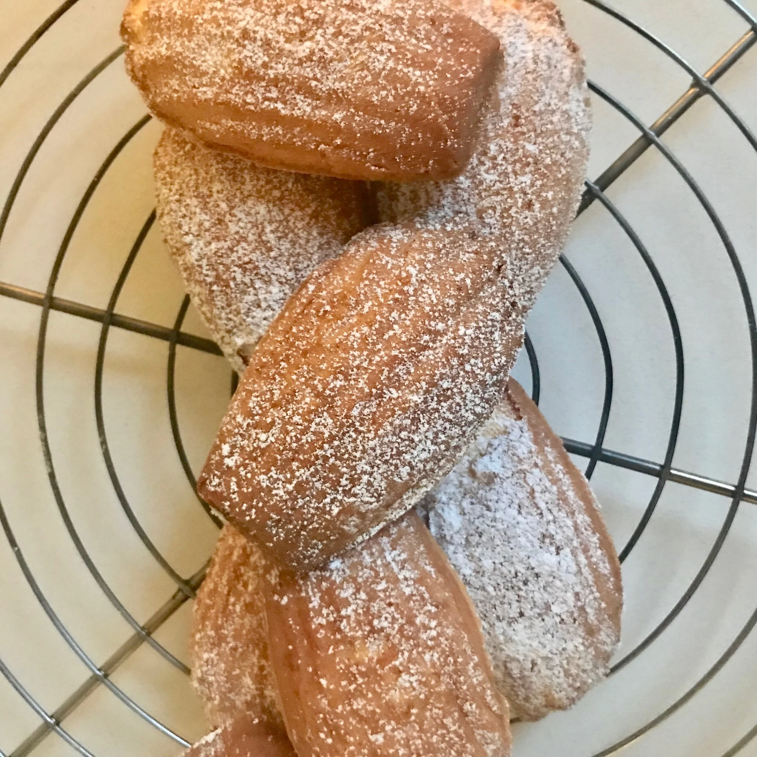 MADELEINES SQUARE PIC.jpeg