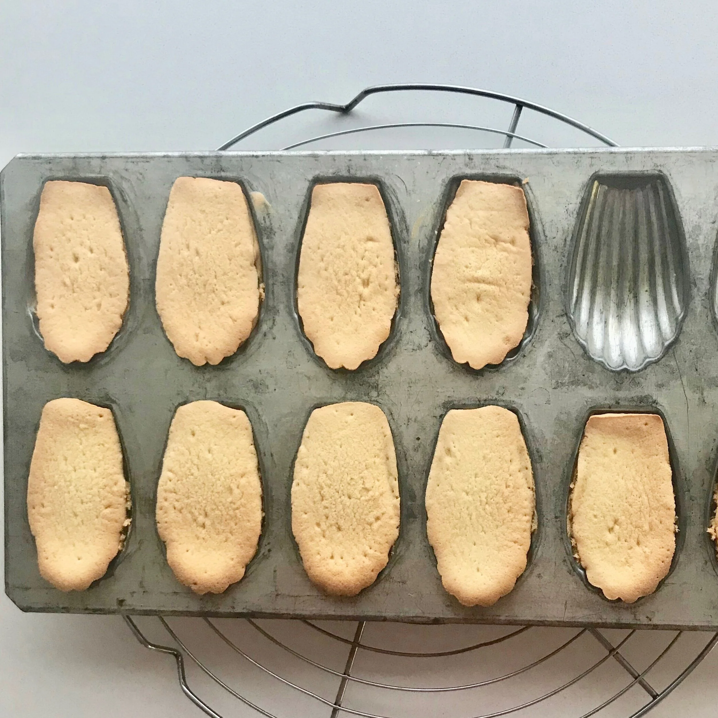 MADELEINES IN TIN PIC.jpeg
