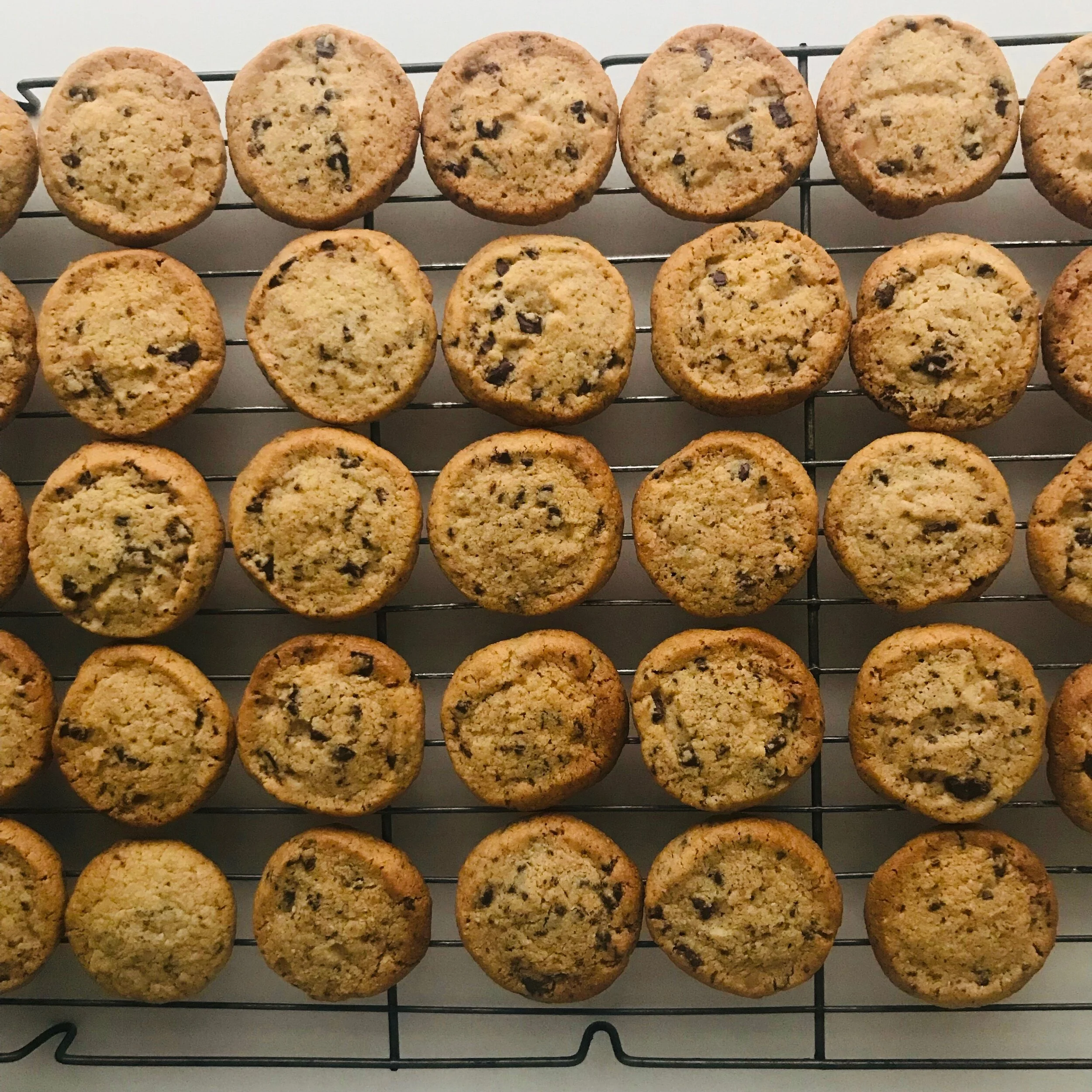 CHOCOLATE MACADAMIA BISCUITS COOKED ON RACK.jpeg