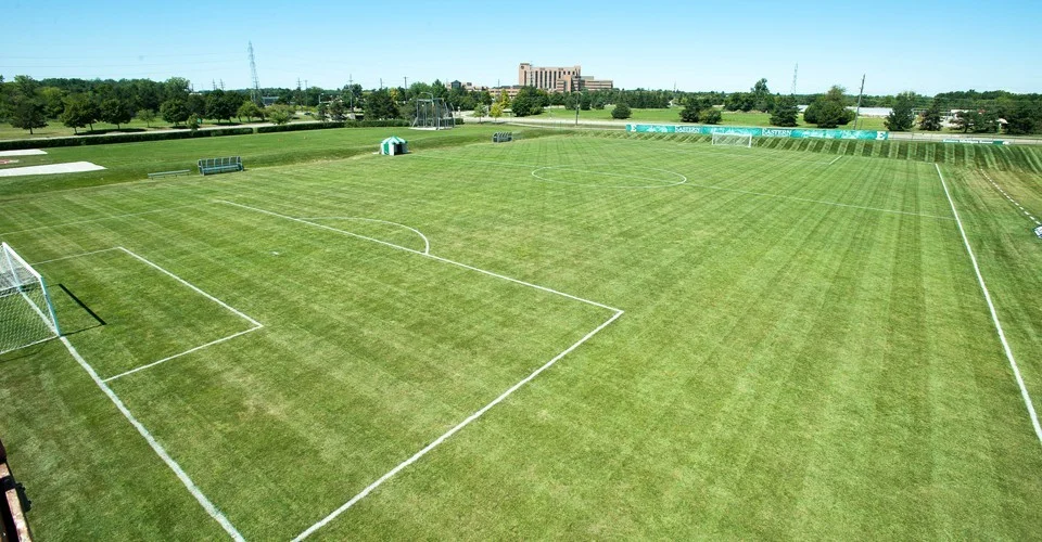 Scicluna_Field.jpg