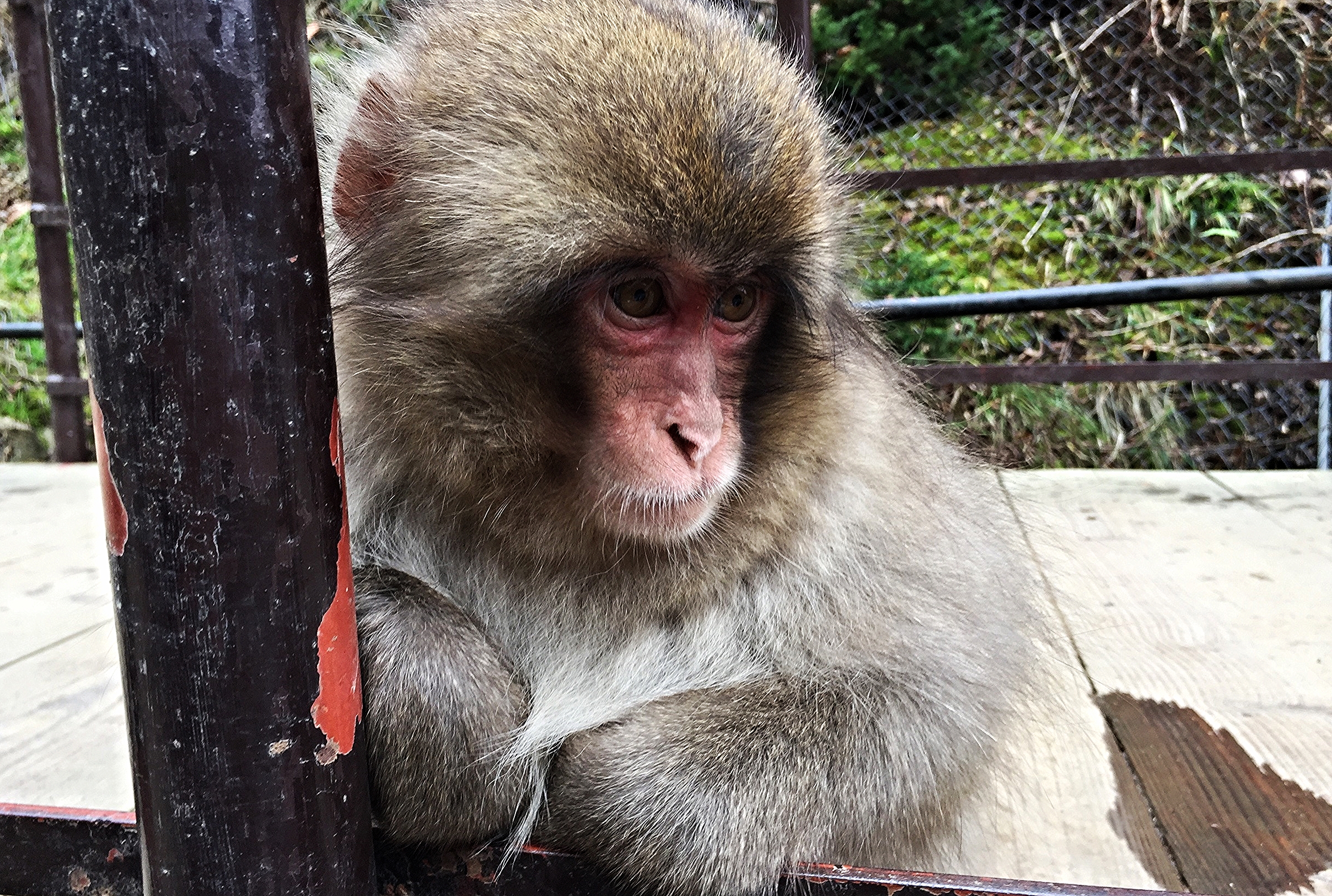 Day 9: Coulda Been The Best, Almost Was The Worst