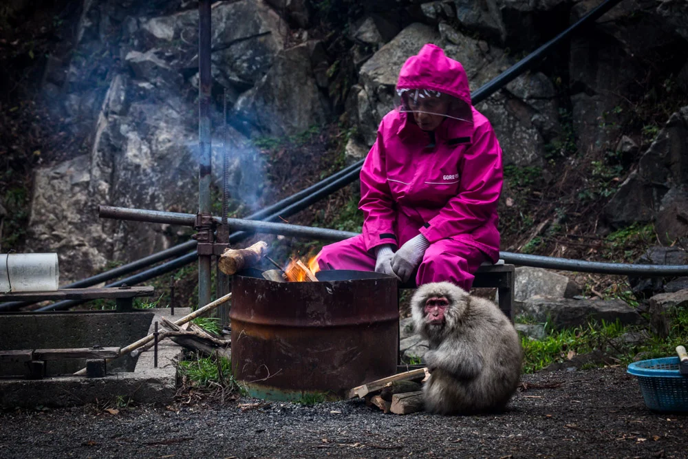 This guy had no intention of leaving the fire.
