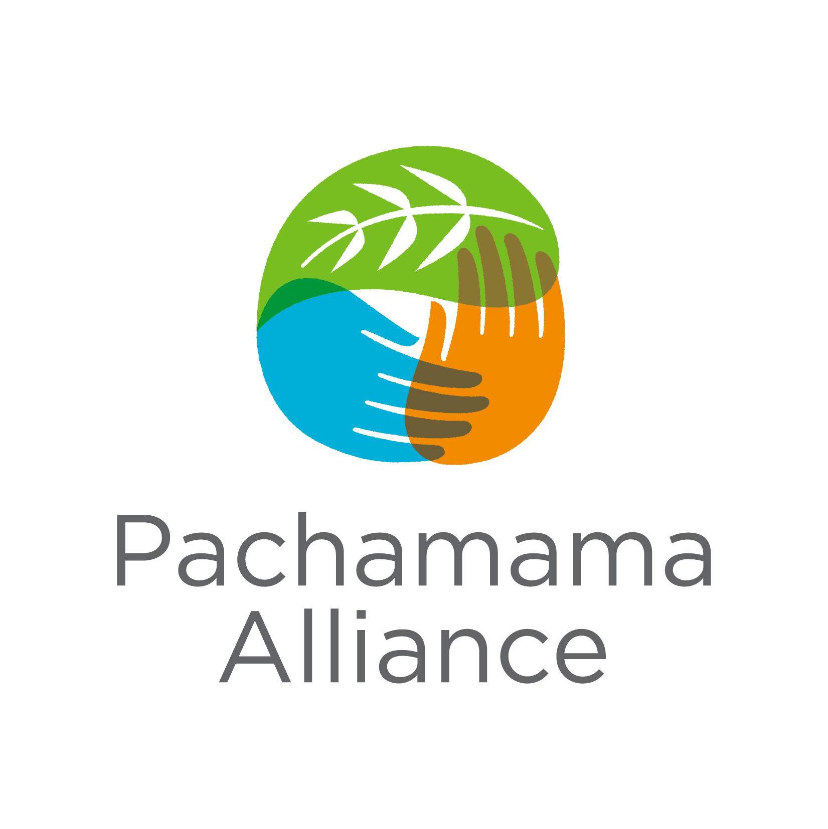 PA logo (3).png