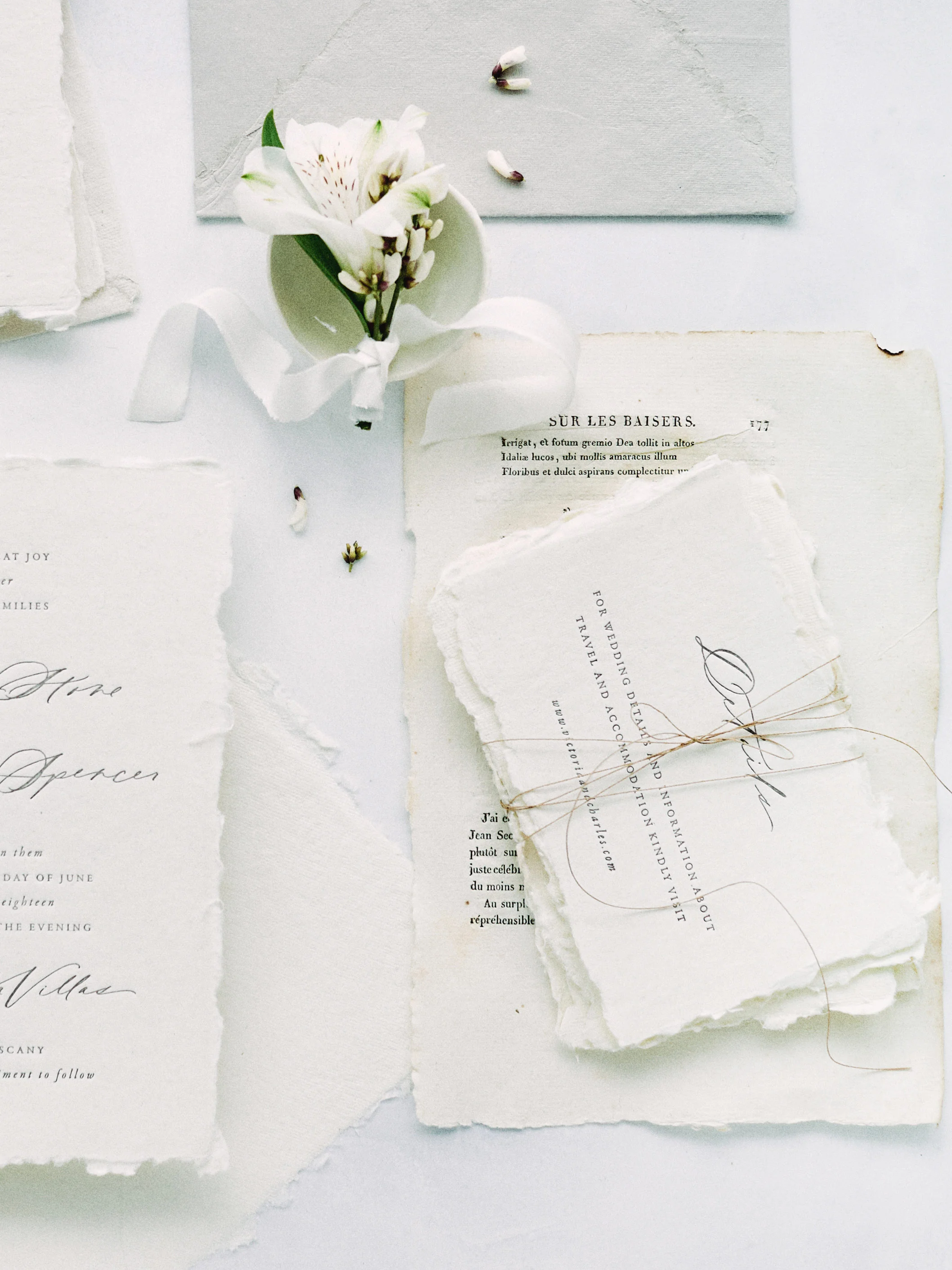 004-PlumeCalligraphy-2019Suites.jpg