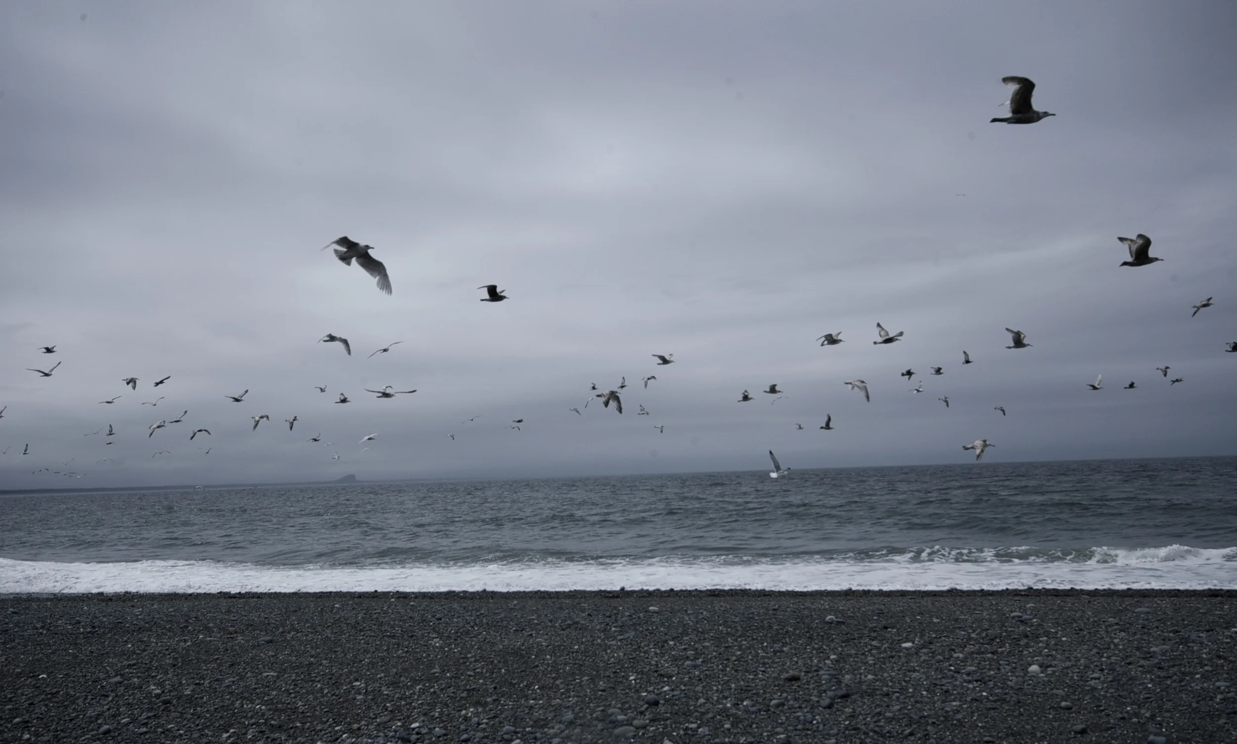 DSC_8505.jpg