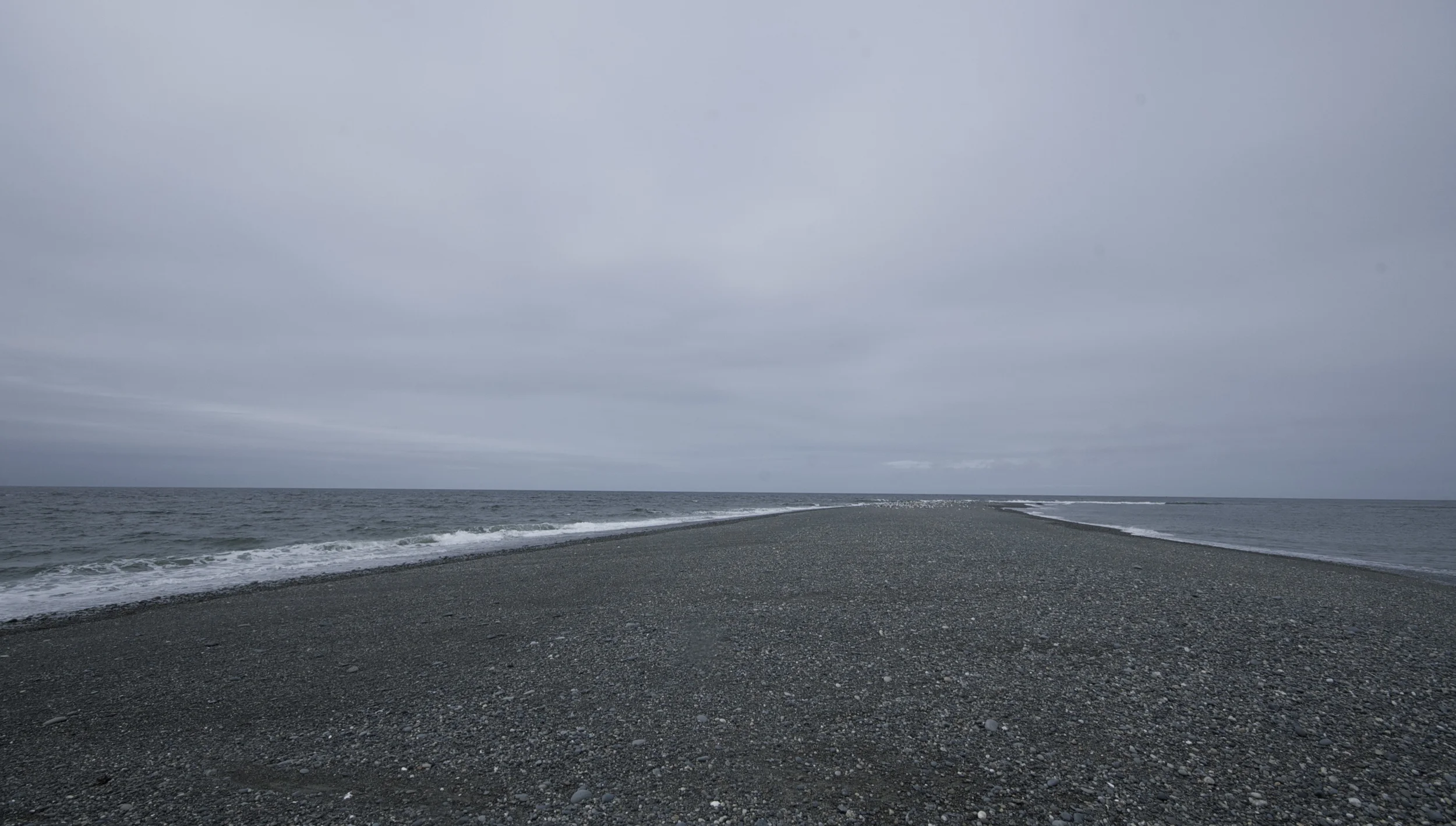 DSC_8475.jpg