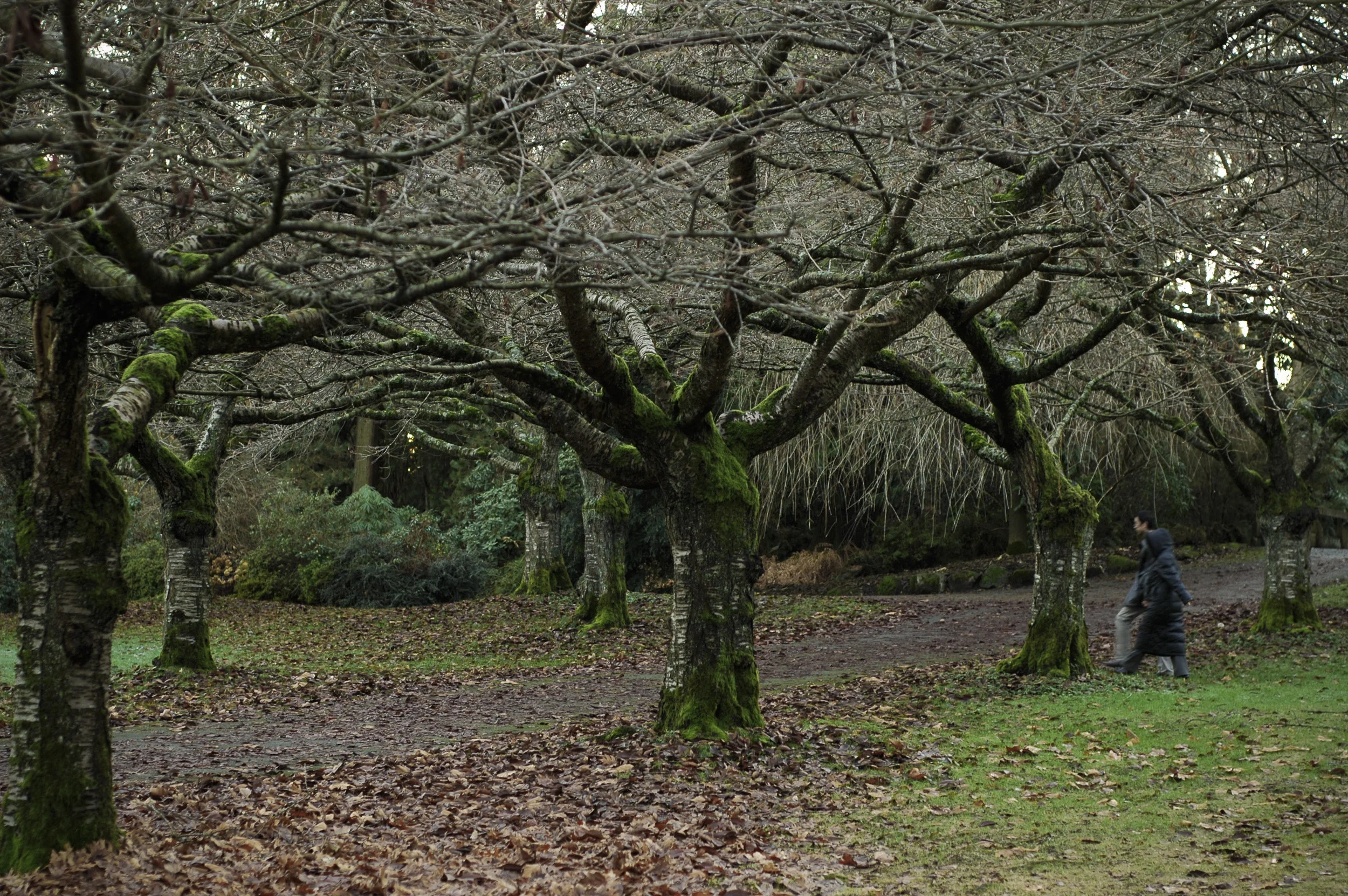 DSC_5583_1.JPG