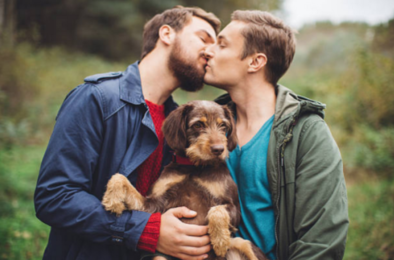 Wedding Reading: Falling in Love is Like Owning A Dog 