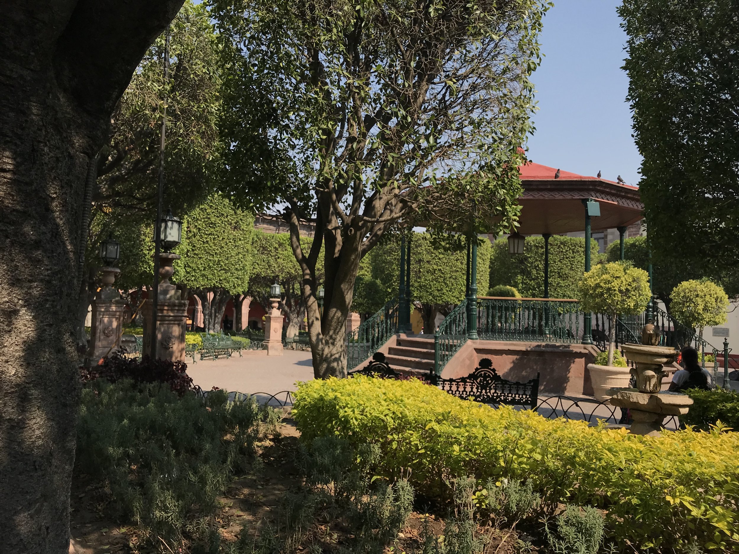 Jardin.jpeg