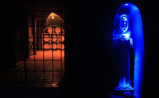 san_miguel_de_allende_vinedos_toyan.jpg