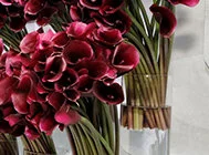 FLORISTS