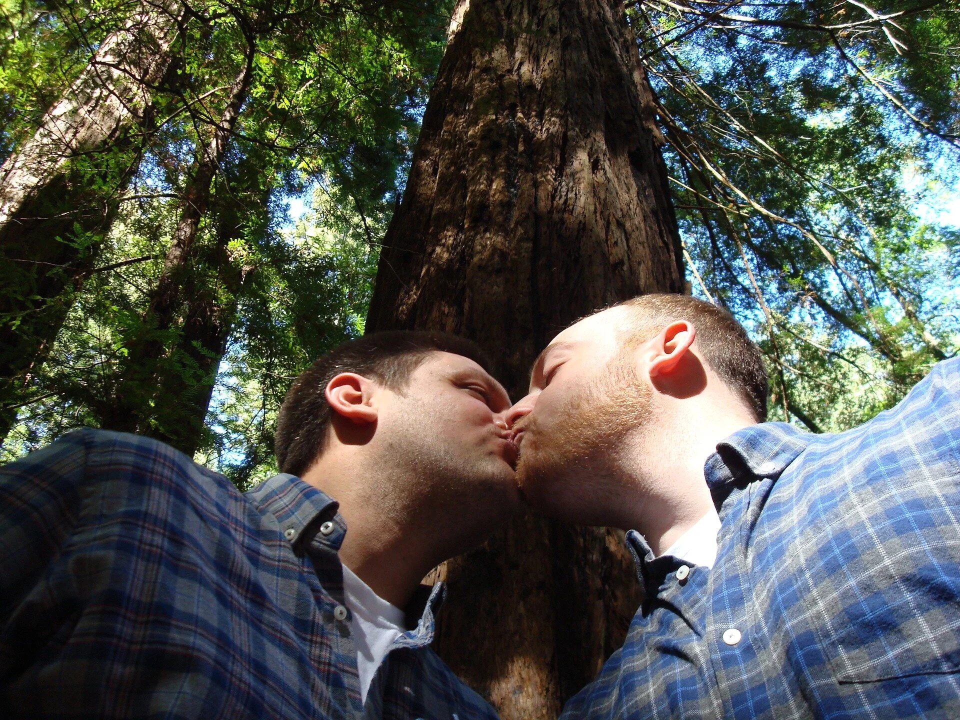 gay-marriage-1571621_1920.jpg
