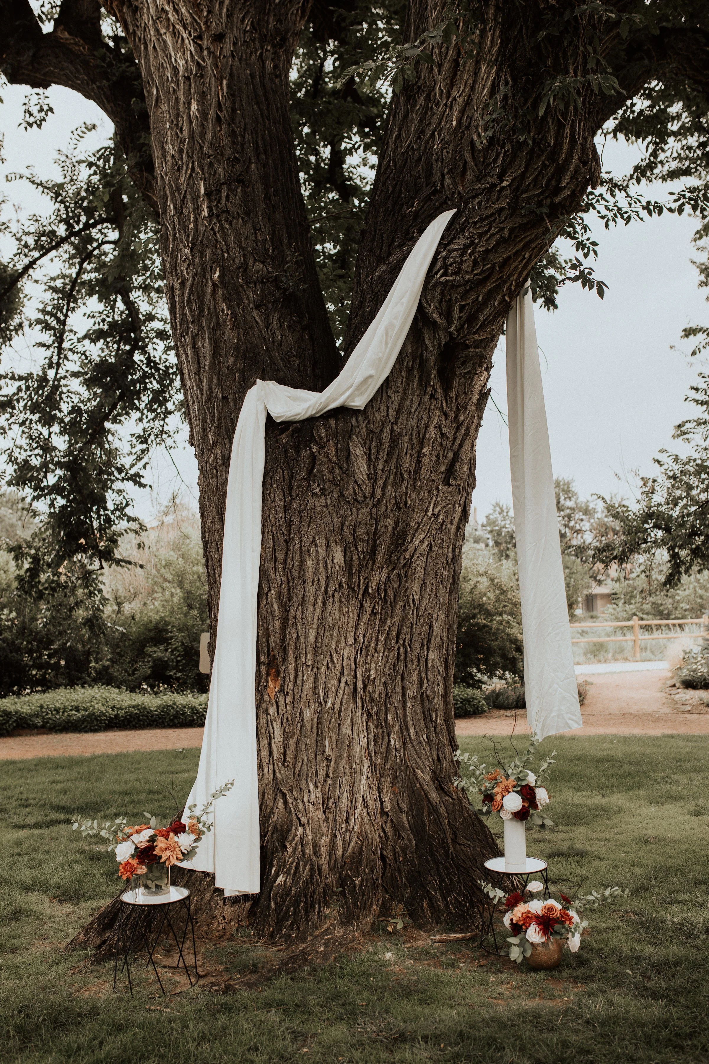 closeup_ceremony.jpg
