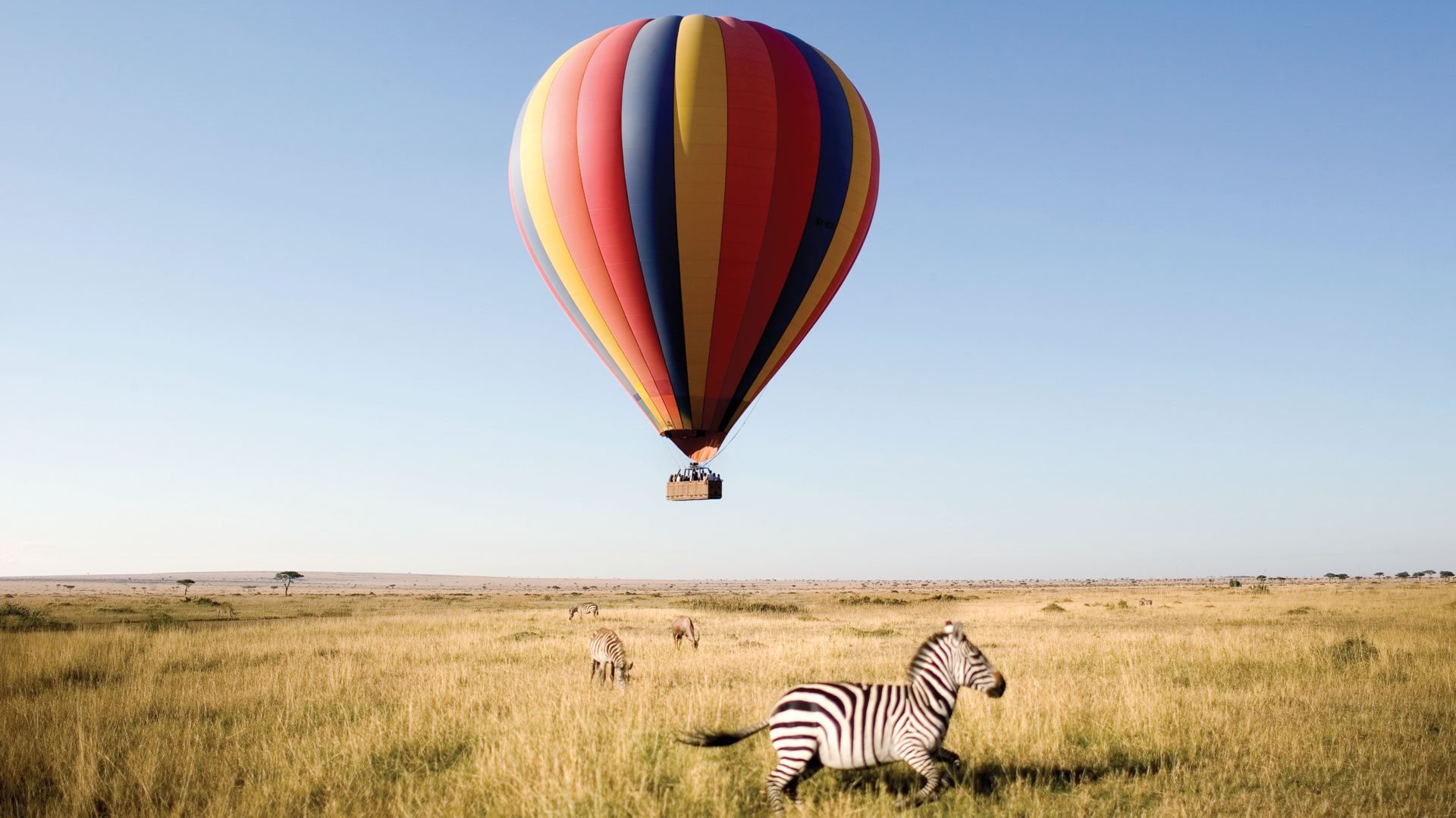 Hot-Air-Balloon-in-Tarangire-National-park.jpeg