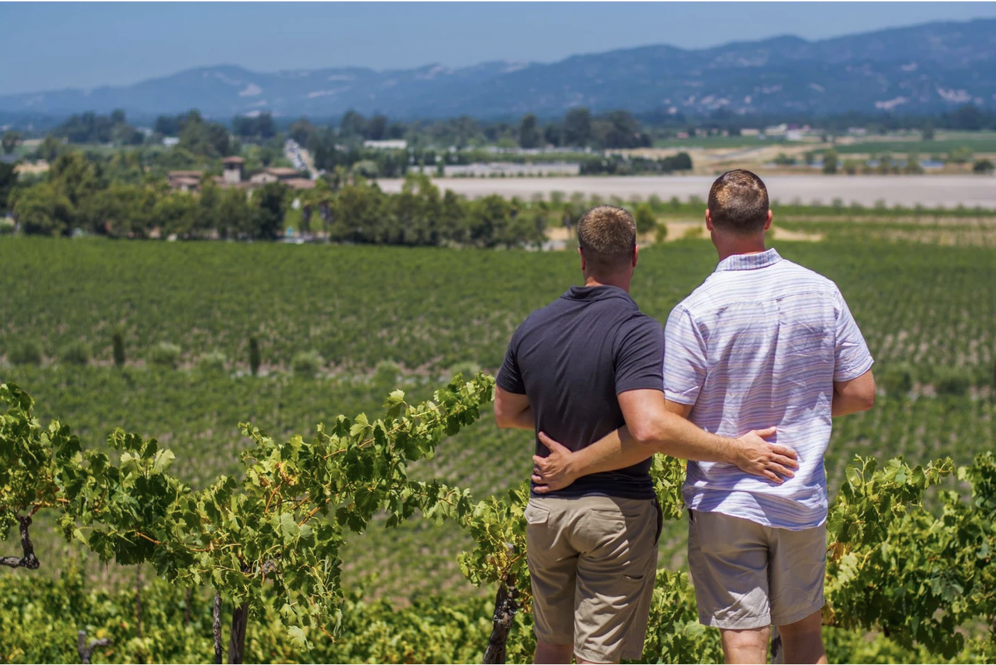 Summer in Sonoma &amp; Napa Valleys&nbsp;