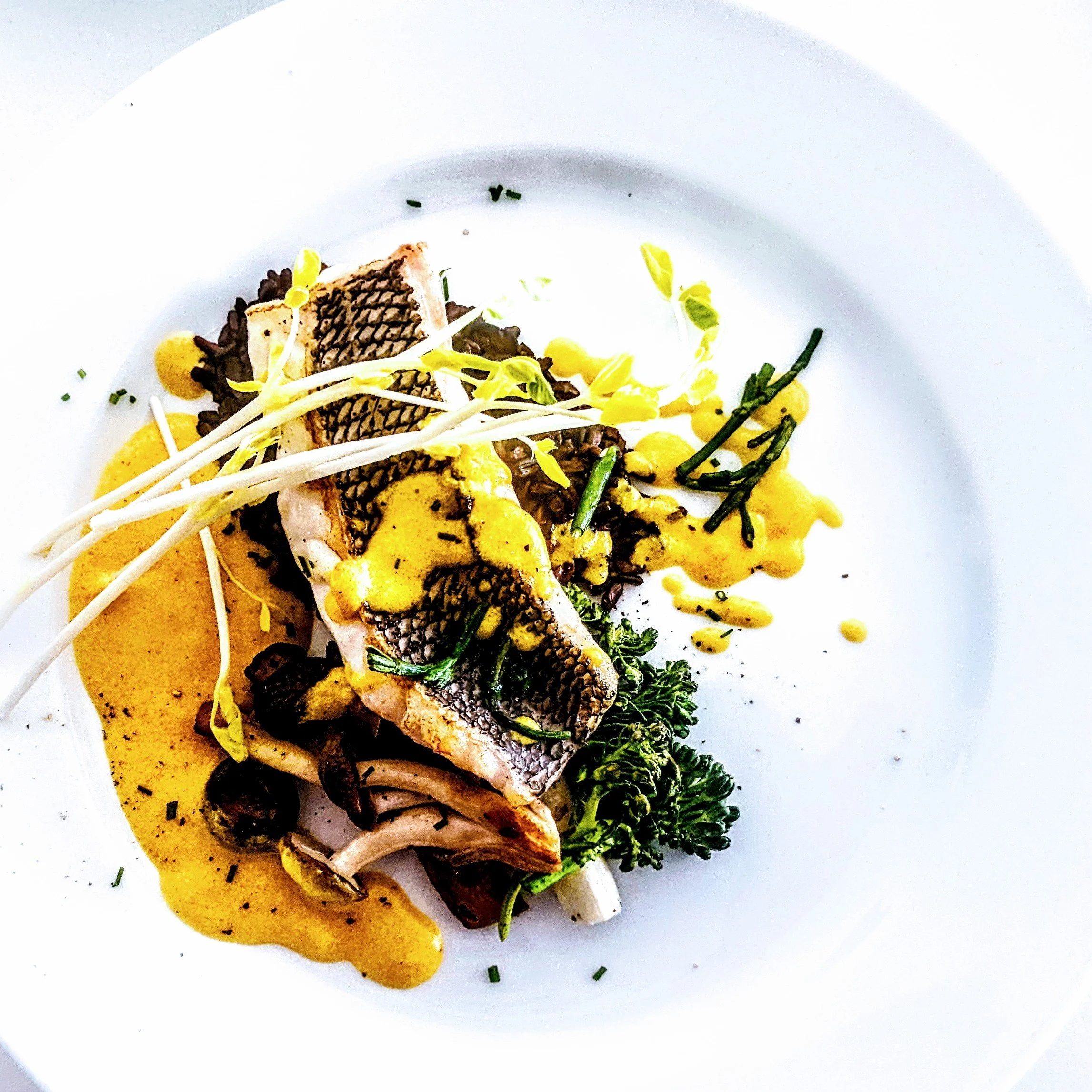Sea Bass.jpg
