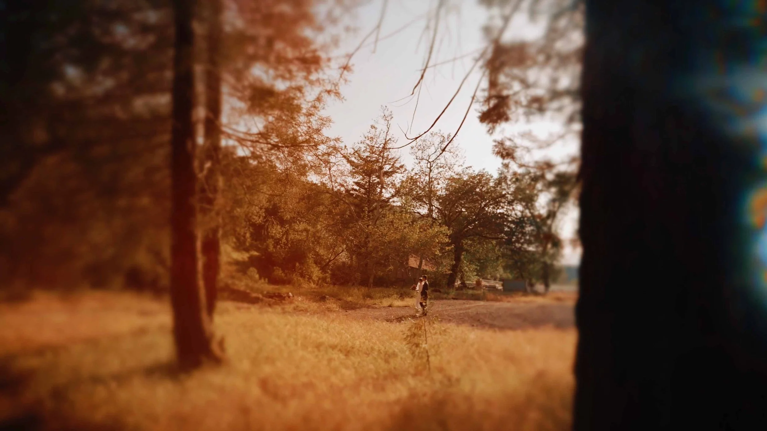 Screen Shot 2022-08-09 at 12.44.23 PM.jpg