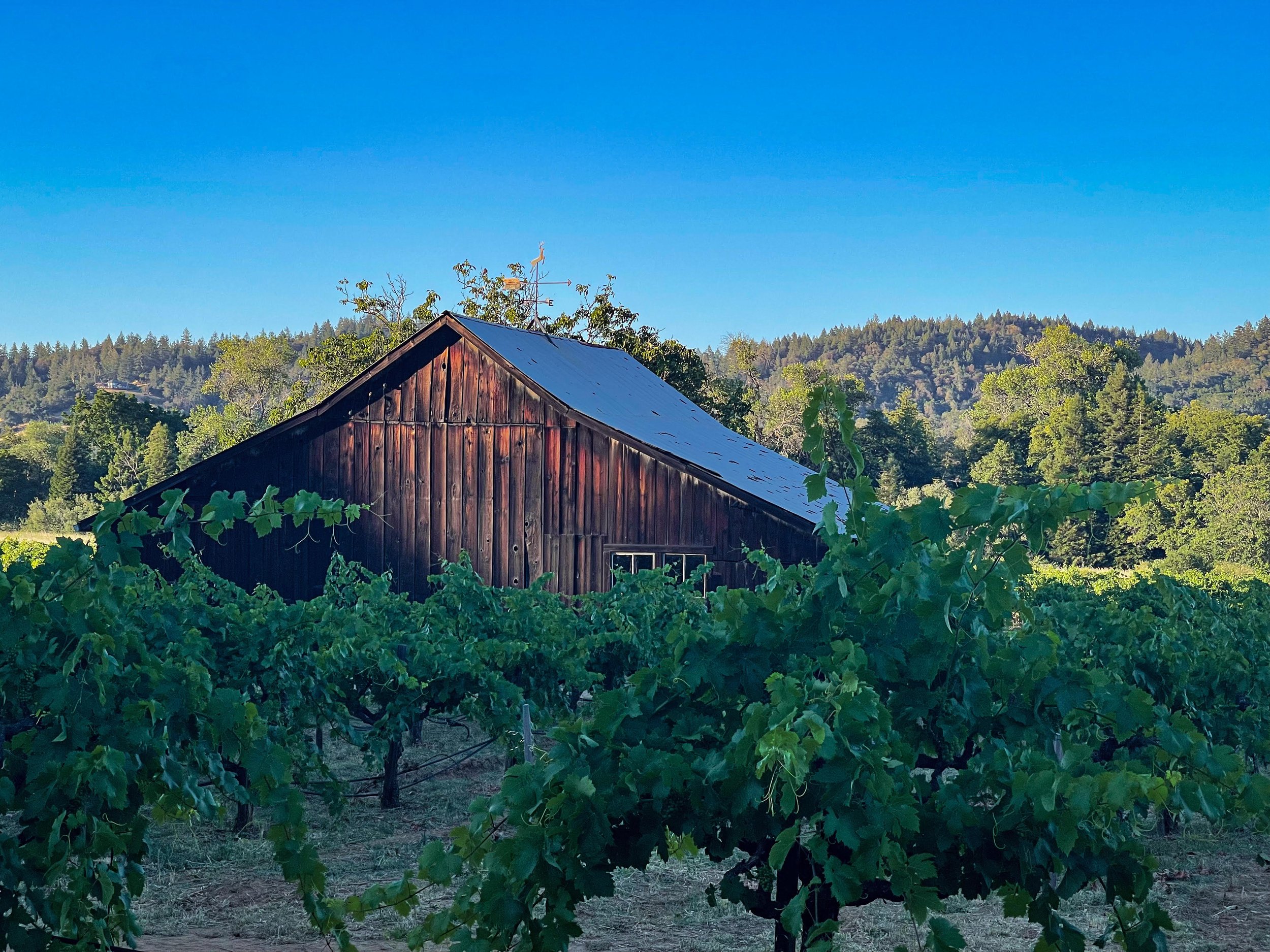 barn.jpg
