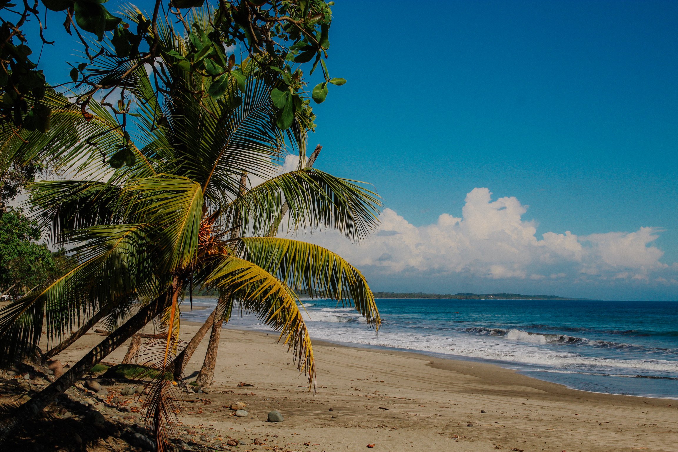 Costa Rica Beach.jpeg