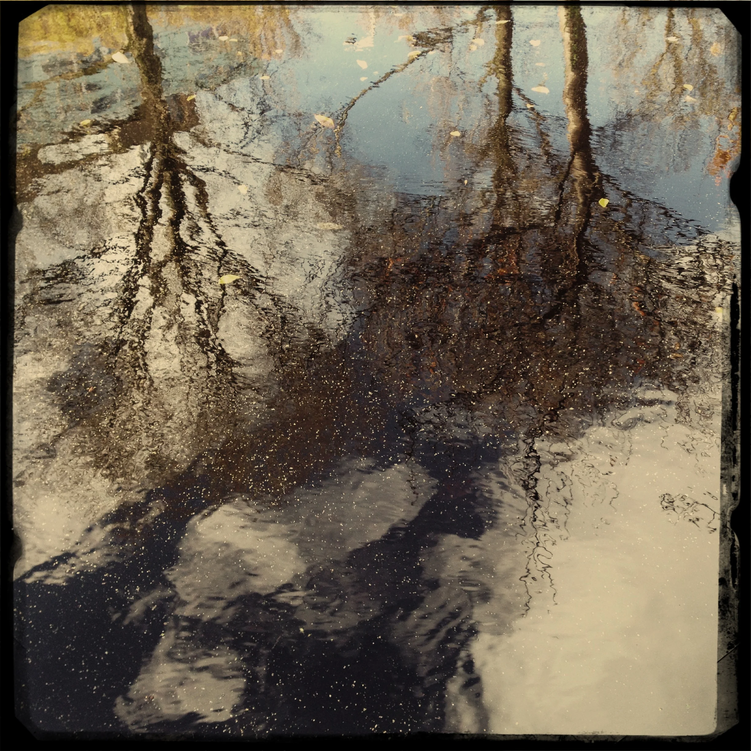 reflect copy.jpg