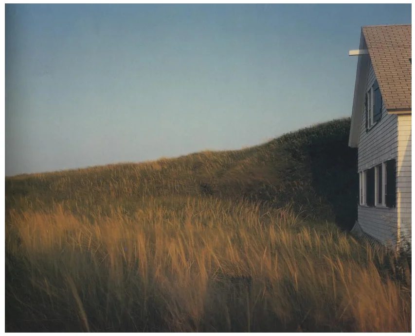 Joel Meyerowitz