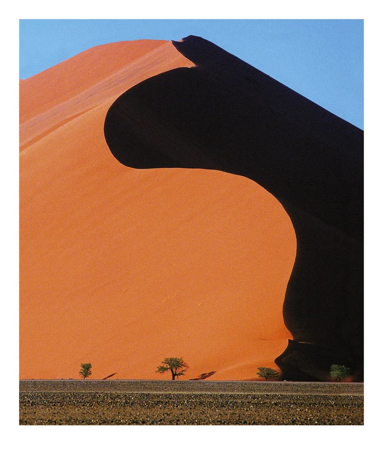 marchoberman_Dune.jpg
