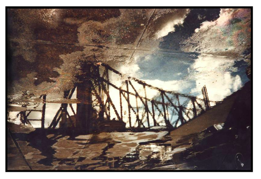 ilonArt_FloFox_59thBridgeinPuddle.png