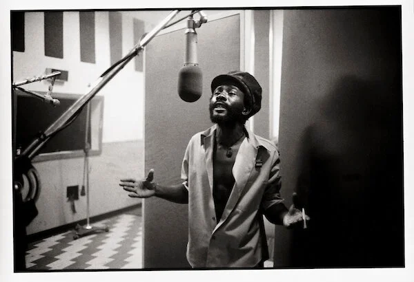 BUR7603_MarleyB_p035a.jpg