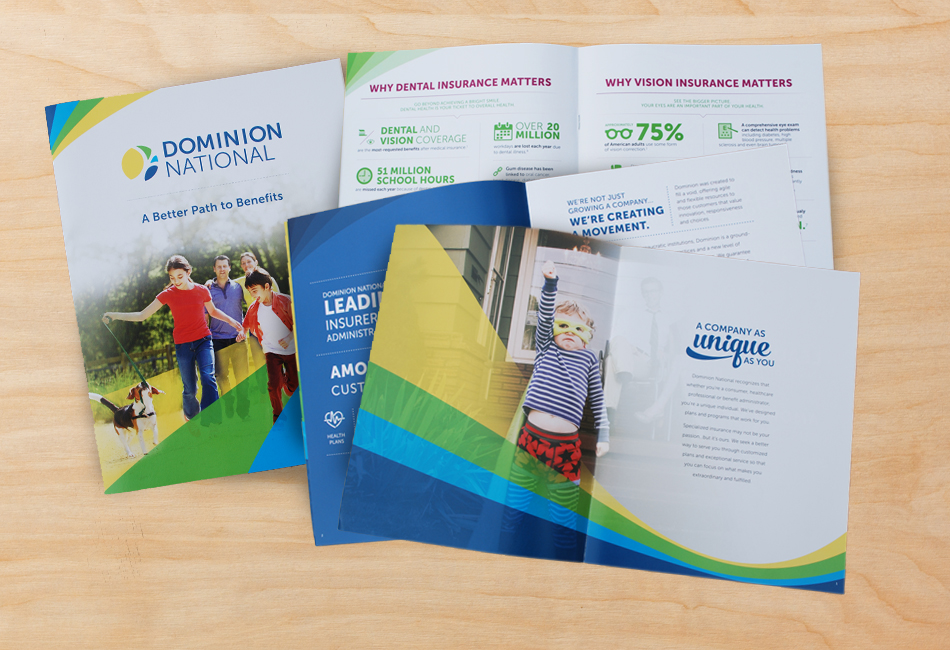 Dominion National Corporate Brochure