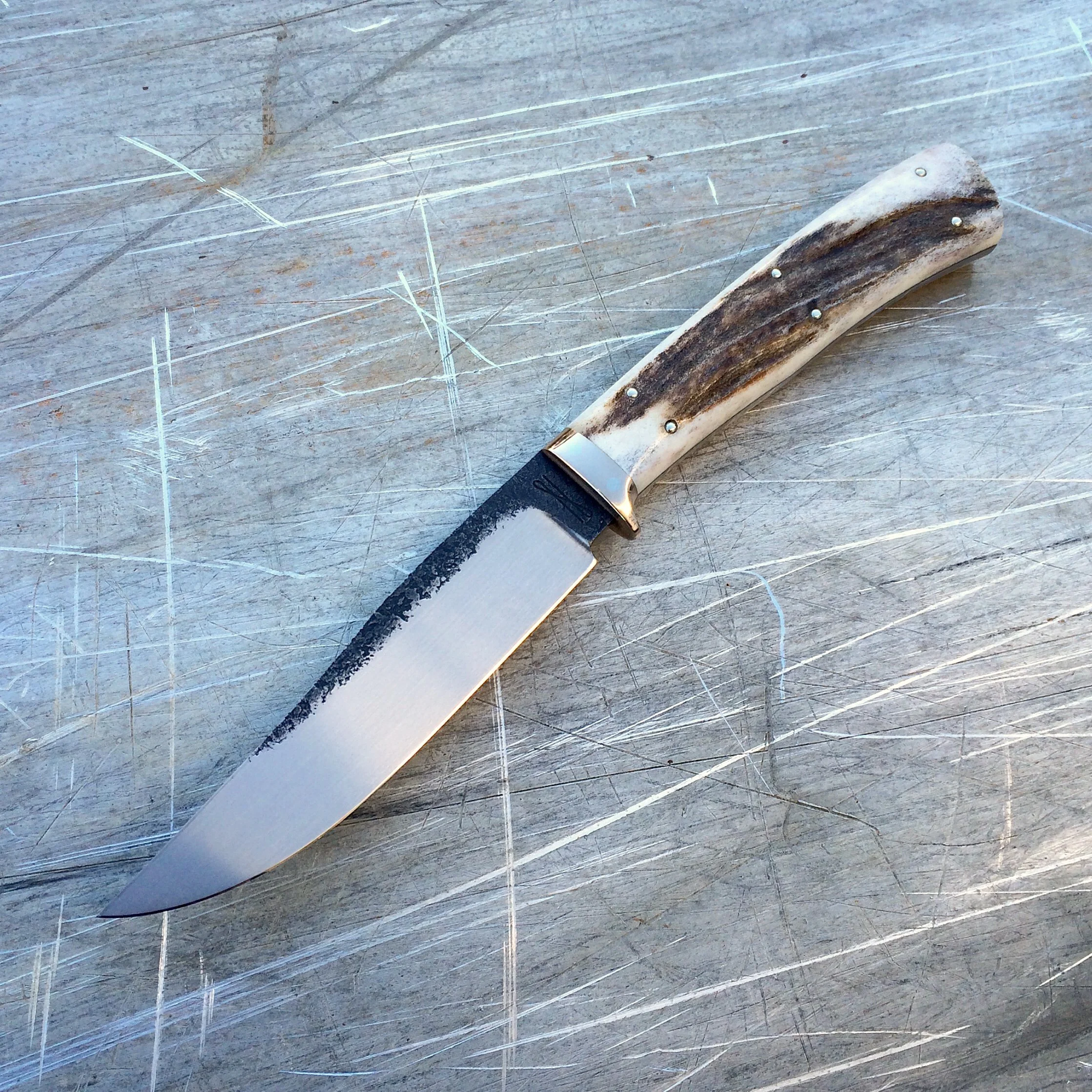 4.5" Hunter, Forged 52100 Steel, Elk Antler, Cupronickel.