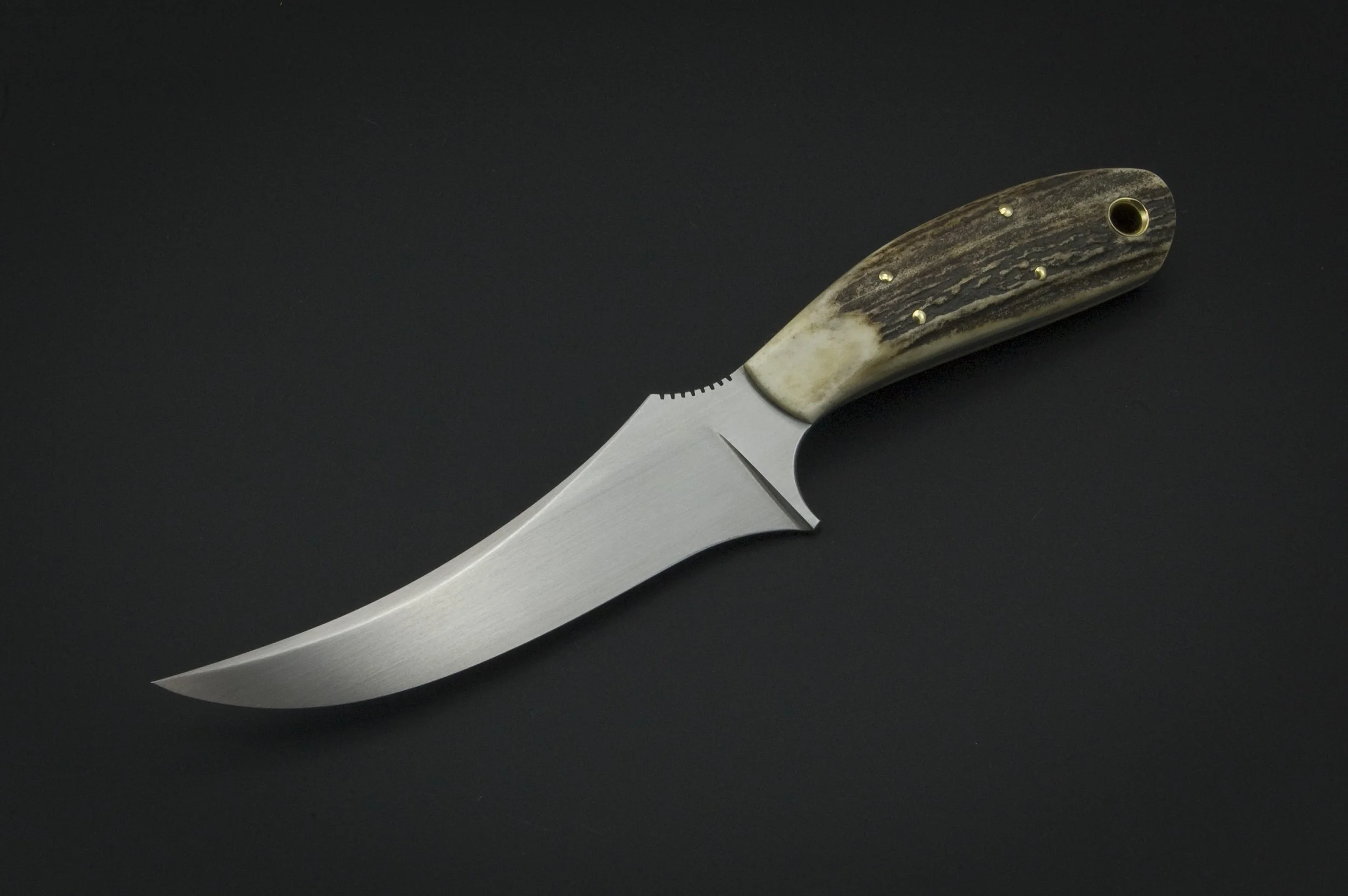 Stag Sharpfingers 2.JPG