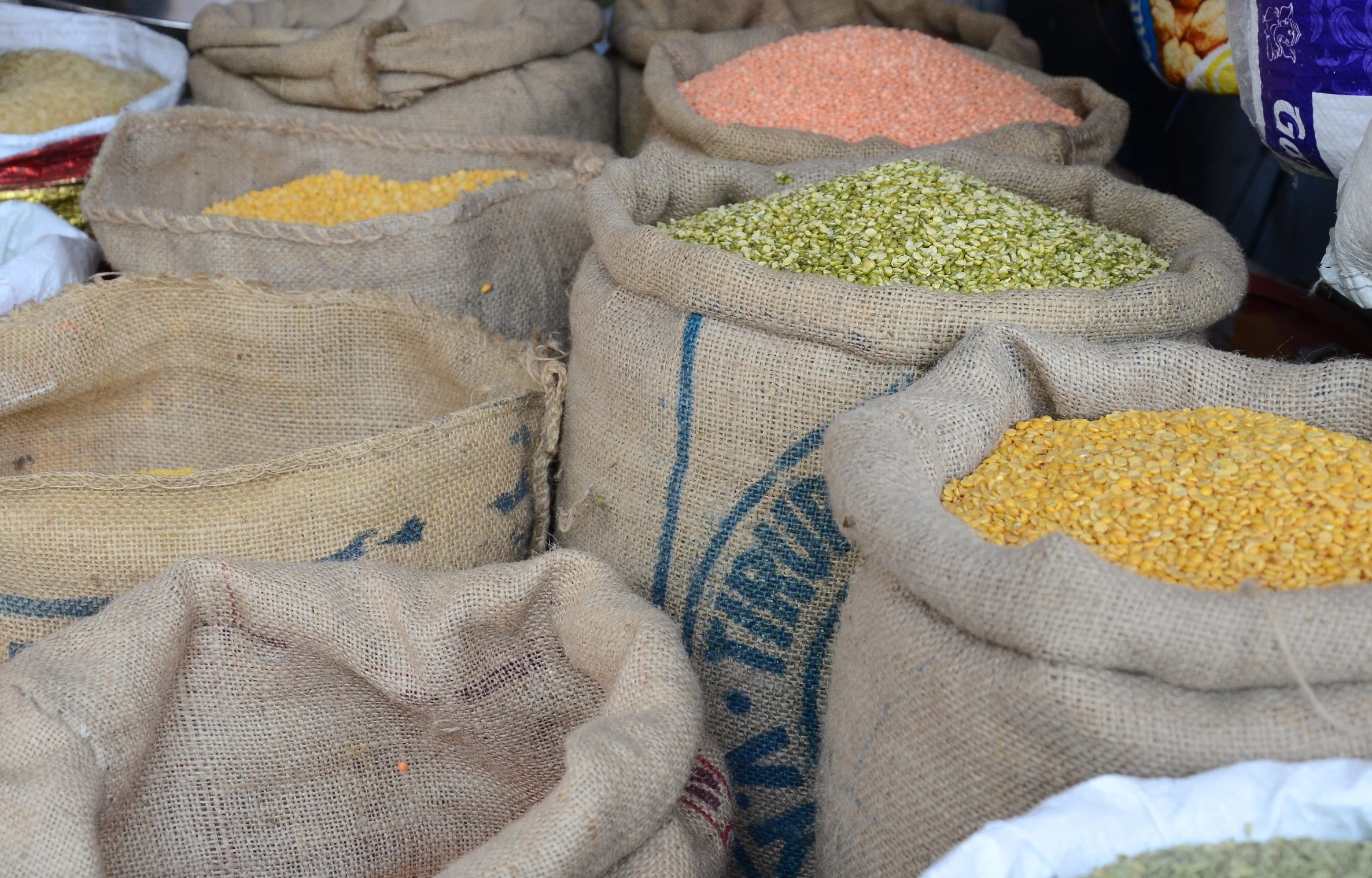 SEH_3669.JPG
