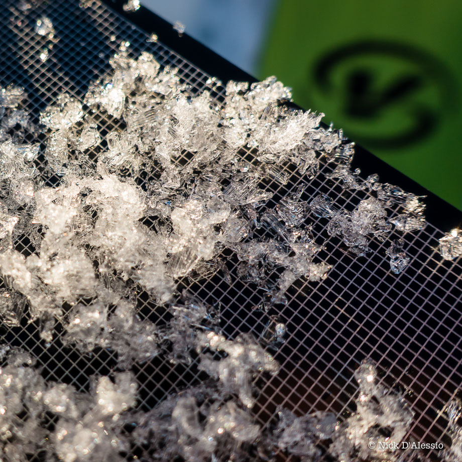 snow-grains-chugach-ski.jpg