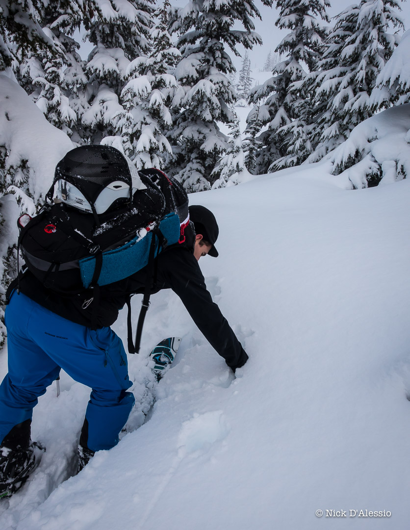 splitboard-snowboard-mountains.jpg