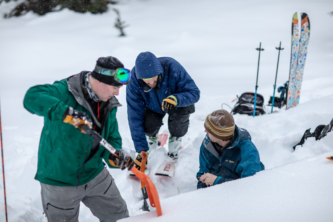 Alaska-Guide-Collective_avalanche-level-1-course.jpg