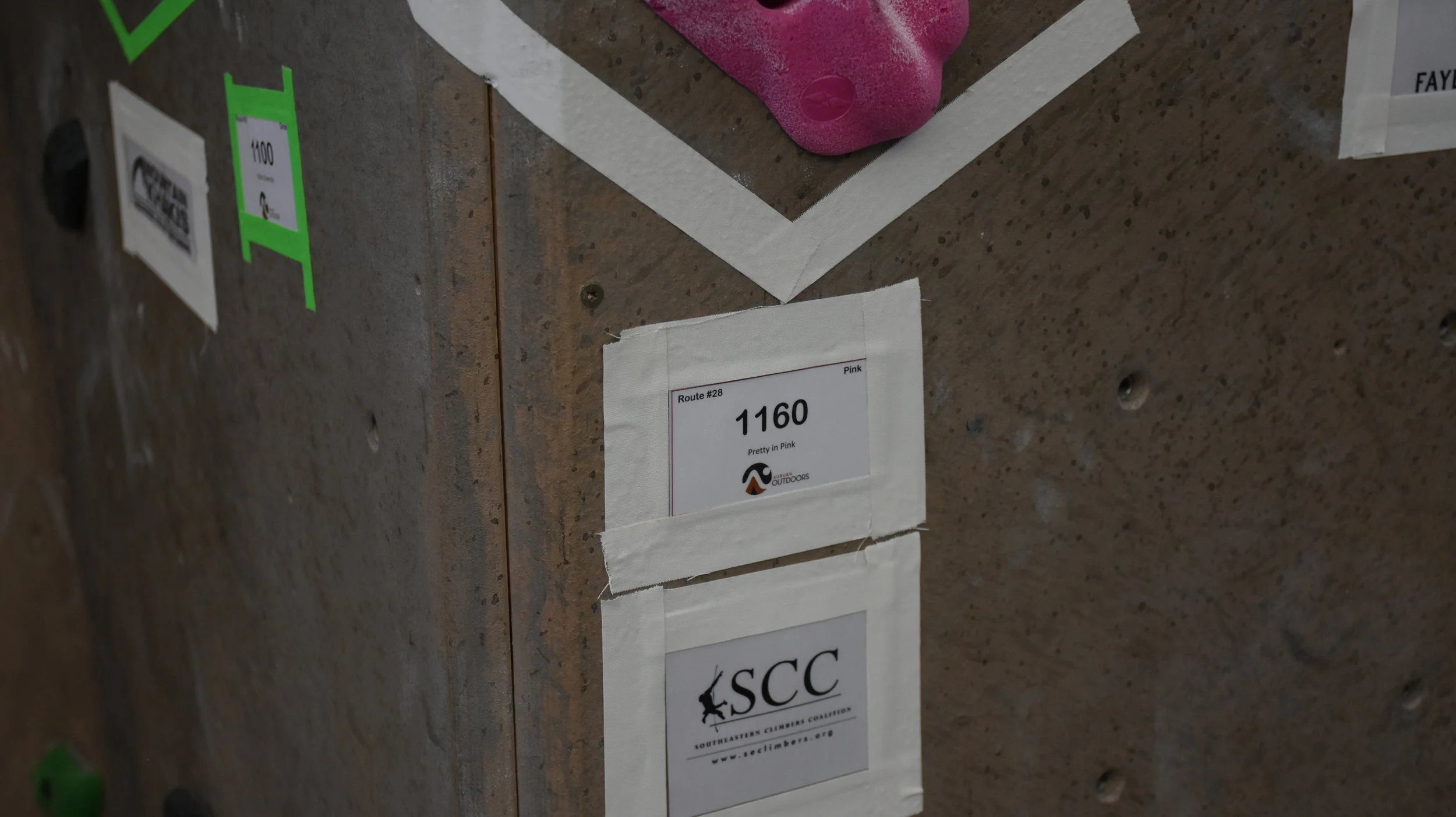 DSC_8145.jpg