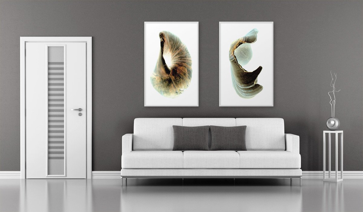 Shell-On-Walls4.jpg
